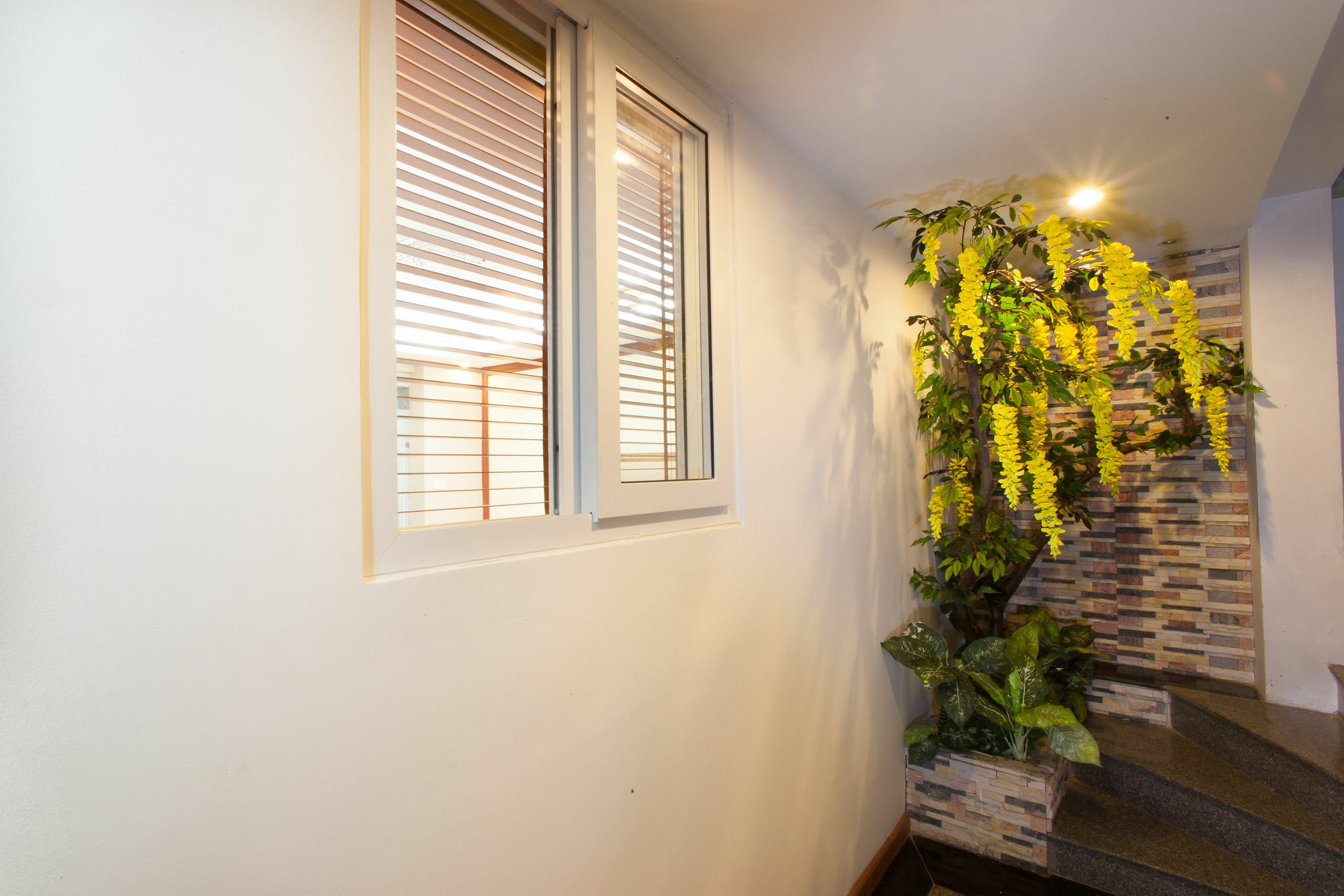 Lotus Boutique Hà Nội Hà Nội