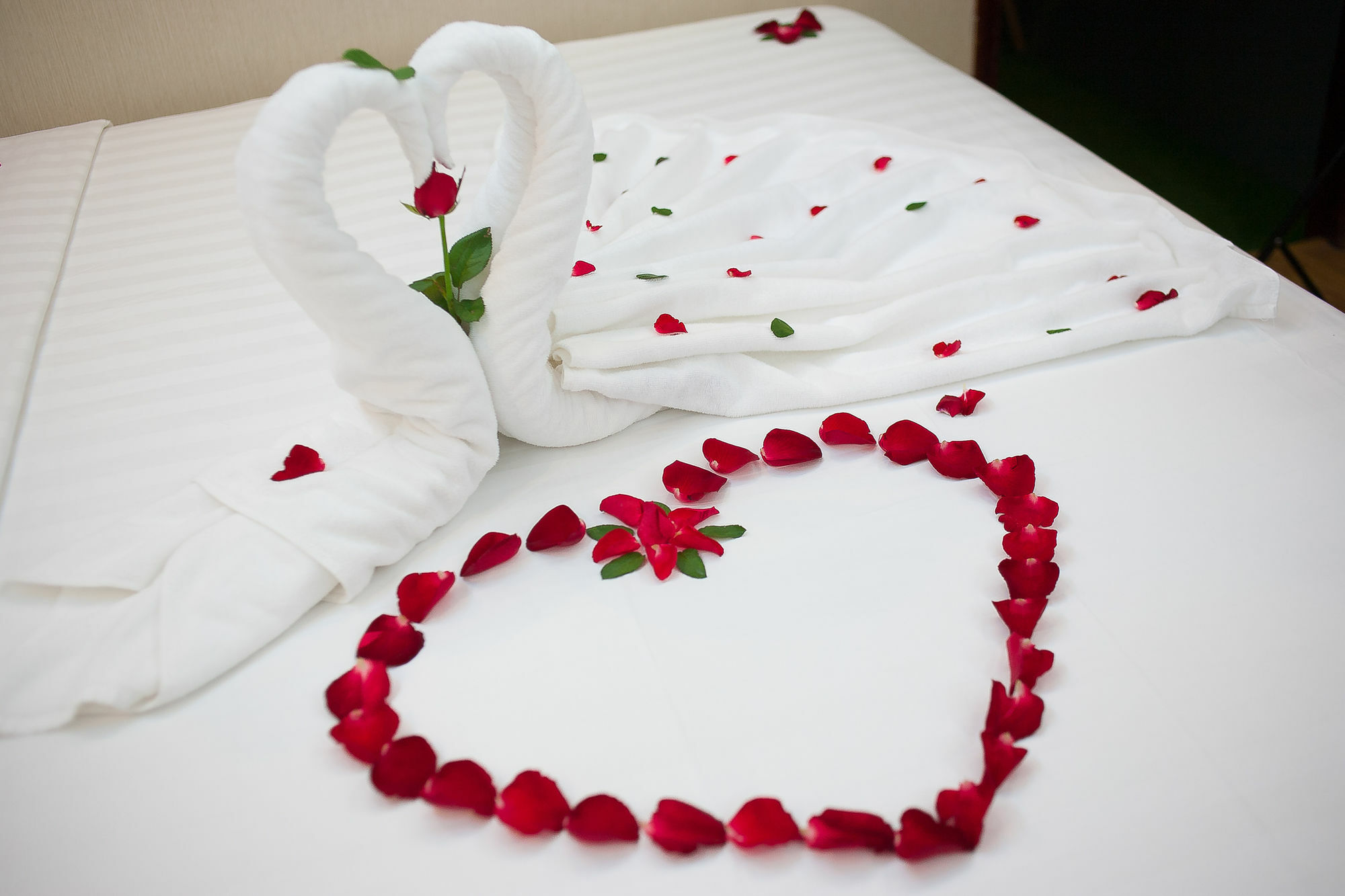 Lotus Boutique Hà Nội Khách sạn 4*